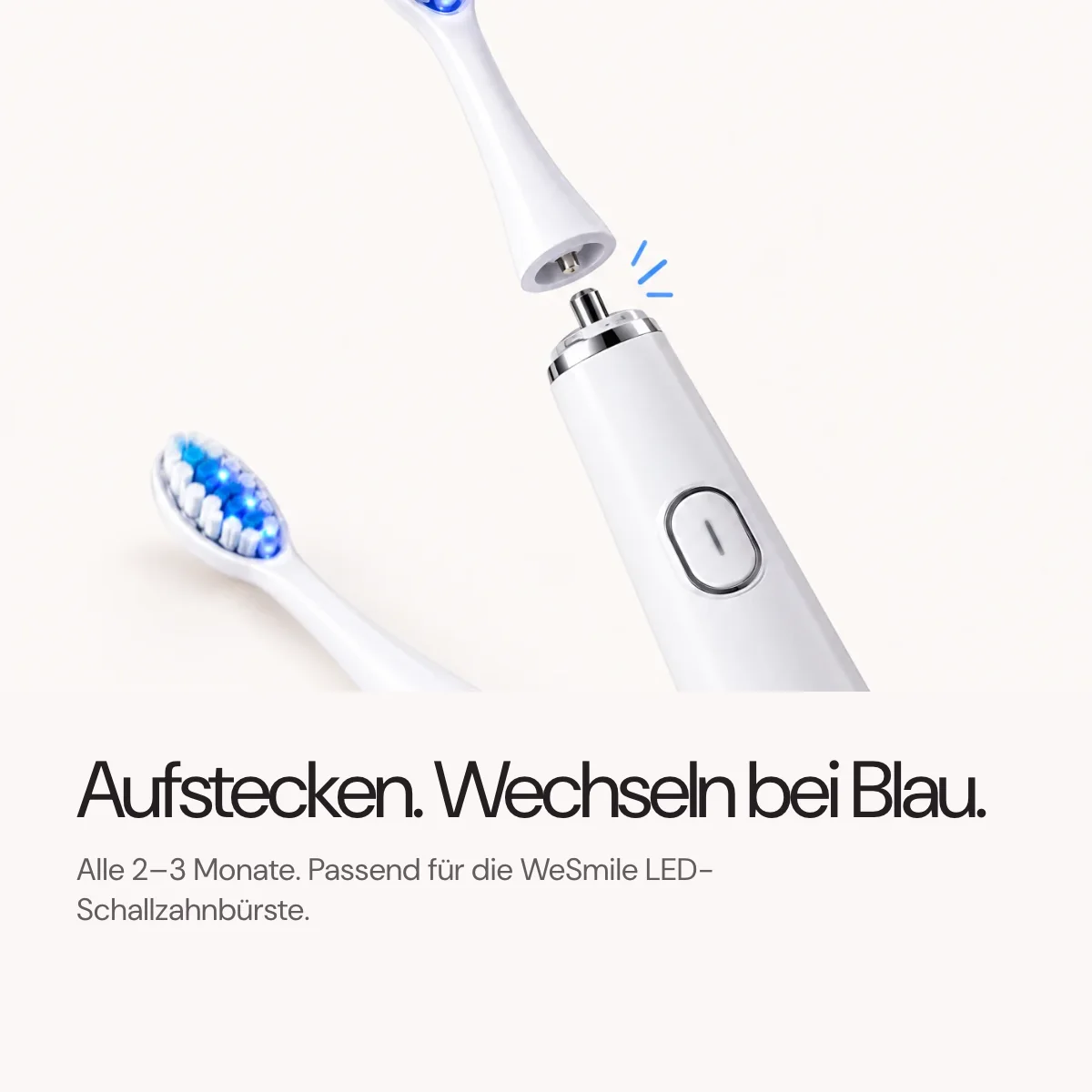 Aufstecken. Bei Blau wechseln, alle 2–3 Monate